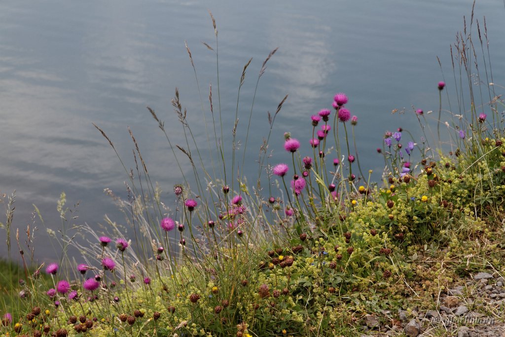 20130803_171